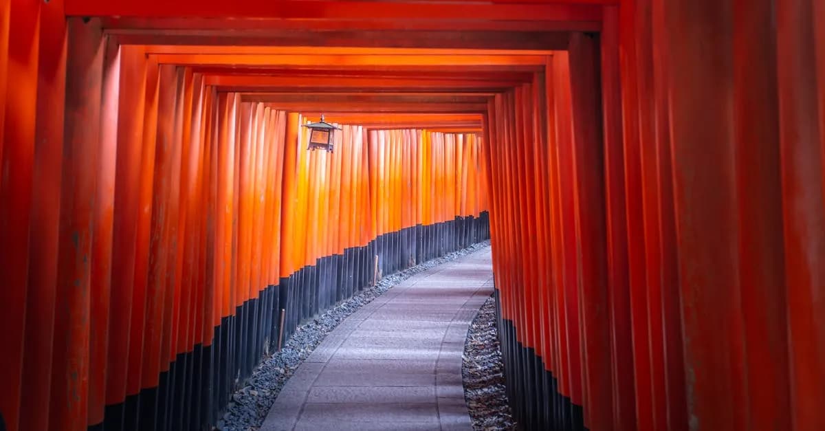 Bonarka repertuar: 5 filmów dla małych rycerzy i księżniczek