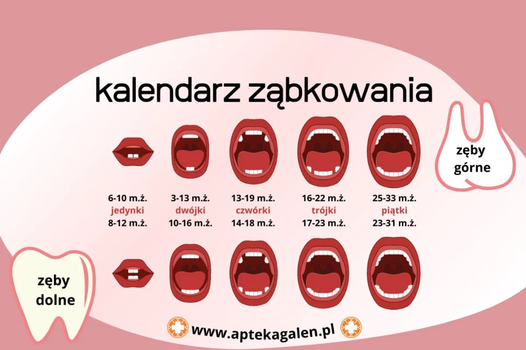 Ząbkowanie trójki: Objawy, które każdy rodzic powinien znać