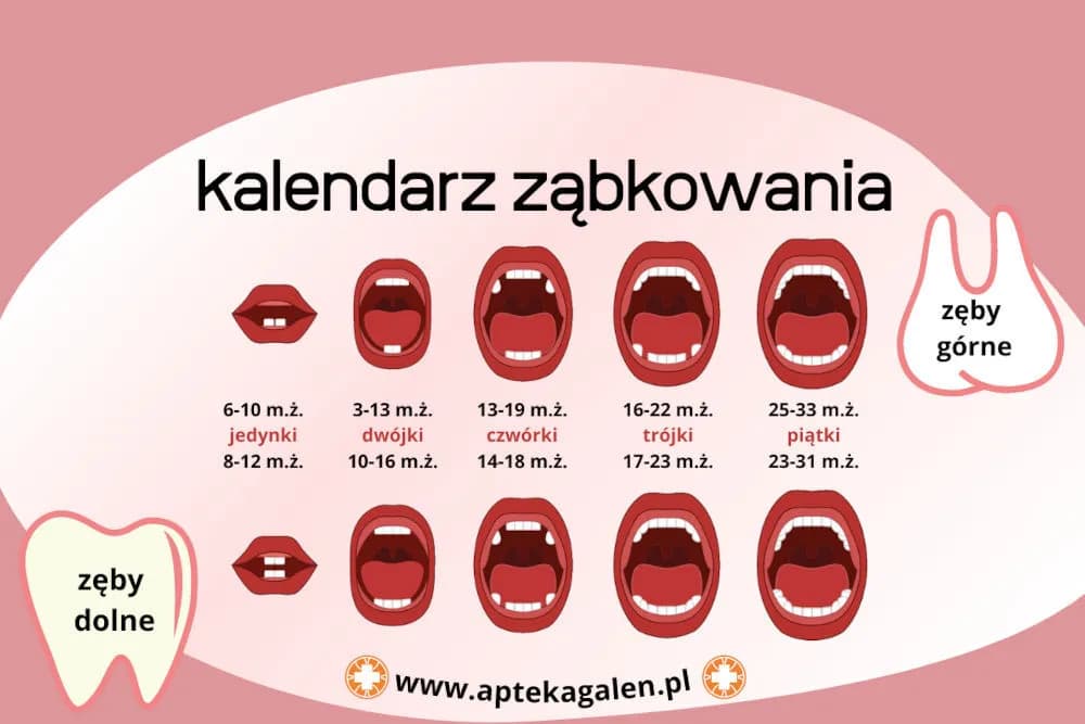 Ile trwa ząbkowanie u niemowląt? Kompletny proces krok po kroku